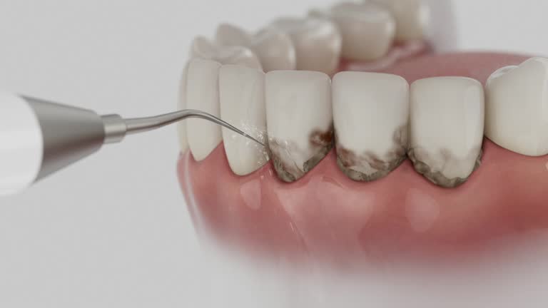 Reliable Dental contractor in Houghton, MI by Dentist Open Now